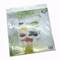 49 And Market Vintage Artistry Countryside Color Wash Rub-Ons